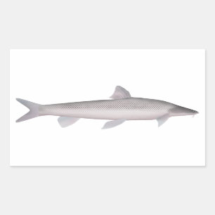 Aral Barbel Rectangular Sticker