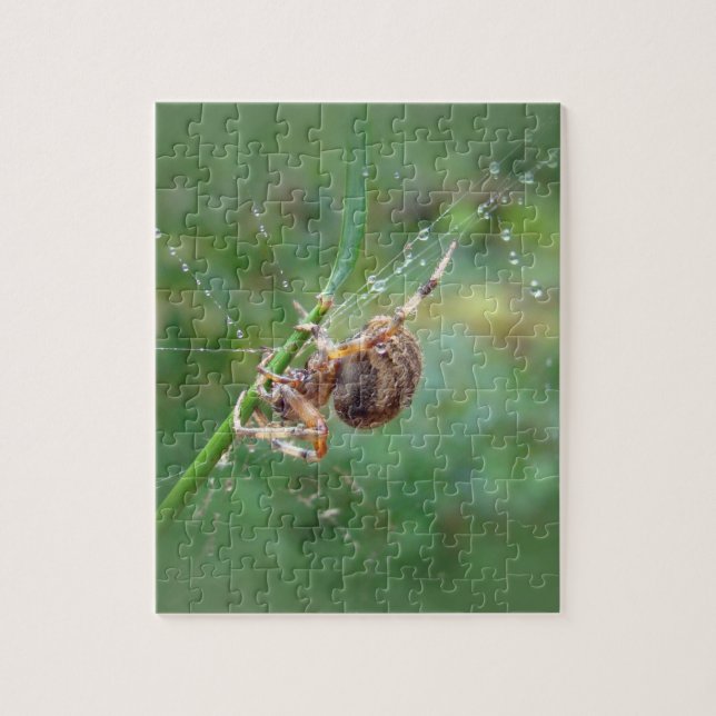 Araneus - Orb Weaver Spider Jigsaw Puzzle (Vertical)
