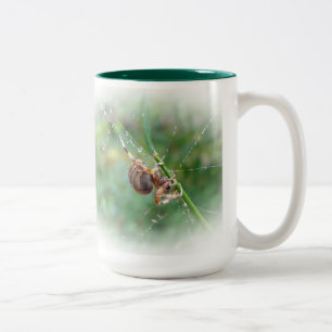 Araneus - Orb Weaver Spider Two-Tone Coffee Mug