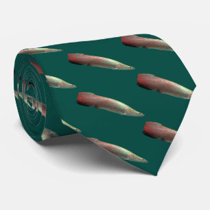 Arapaima gigas tie