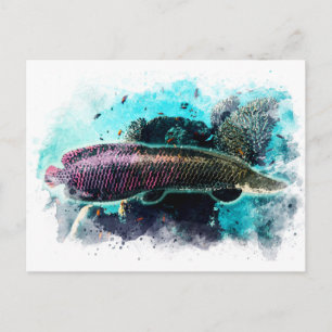 Arapaima Monster Fish Watercolor Pirarucu Paiche Postcard