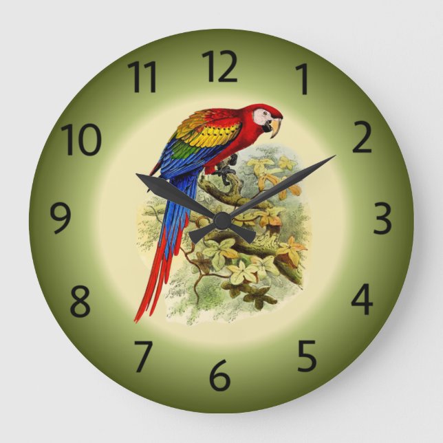 Arara macao - Ara macao - Scarlet Macaw - ~  Large Clock (Front)