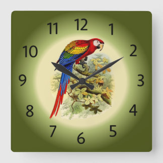 Arara macao - Ara macao - Scarlet Macaw - ~ Square Wall Clock
