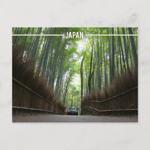 Arashiyama Bamboo Forest, Kyoto Japan Postcard