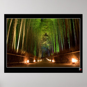 Arashiyama Path Poster