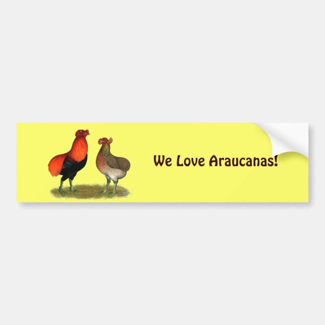 Araucana Red Pair Bumper Sticker (Front)