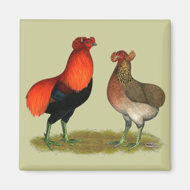 Araucana Red Pair Magnet (Front)