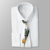 Arba Minim - Lulav, Esrog, Hadas, & Aravah