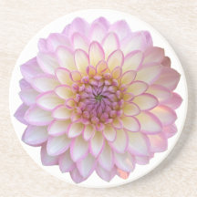 Arbatax Dahlia, Pink Flower Sandstone Coaster