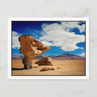 Árbol de Piedra Postcard