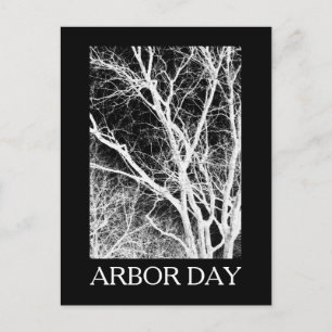 arbor day ghost tree postcard