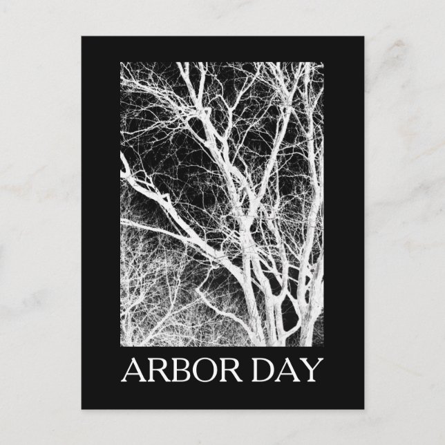 arbor day ghost tree postcard (Front)