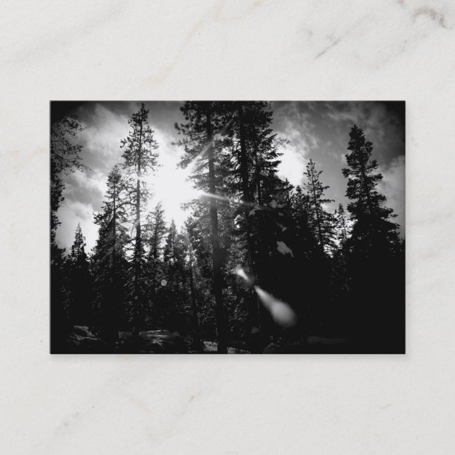 Arboriculture Business Card (Front)