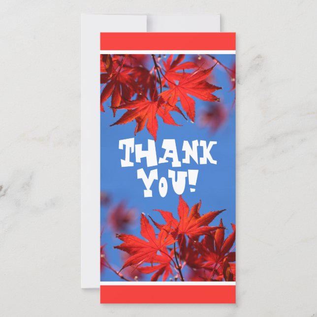 Arborist Fiery Fall Colour: Red Maple Leaves Thank You Card (Front)