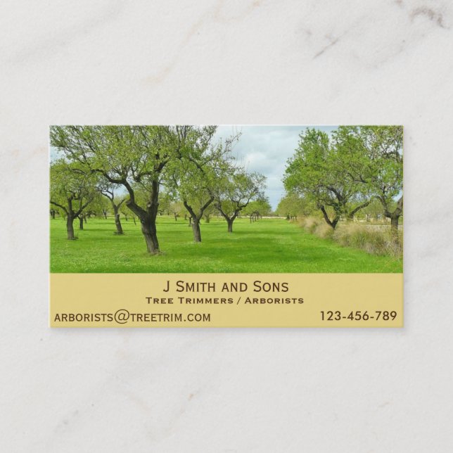 Arborist tree trimming service modern design business card (Front)