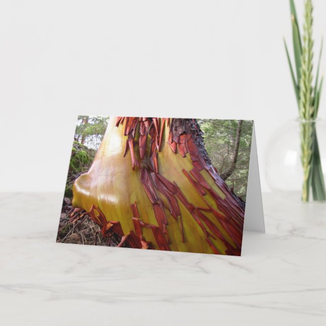 Arbutus Tree Card (Front)