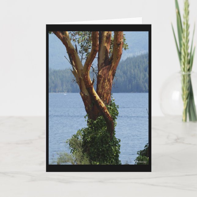 "Arbutus Tree" Greeting Card (Front)