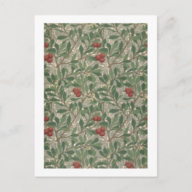'Arbutus' wallpaper designed by Kathleen Kersey fo Postcard (Front)