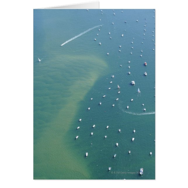 Arcachon Bassin (Front)