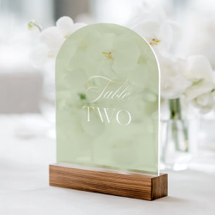 Arch Acrylic Sage Green Wedding Table Two Number Invitations