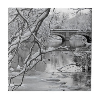 Arch Bridge over Frozen River in Winter Tile