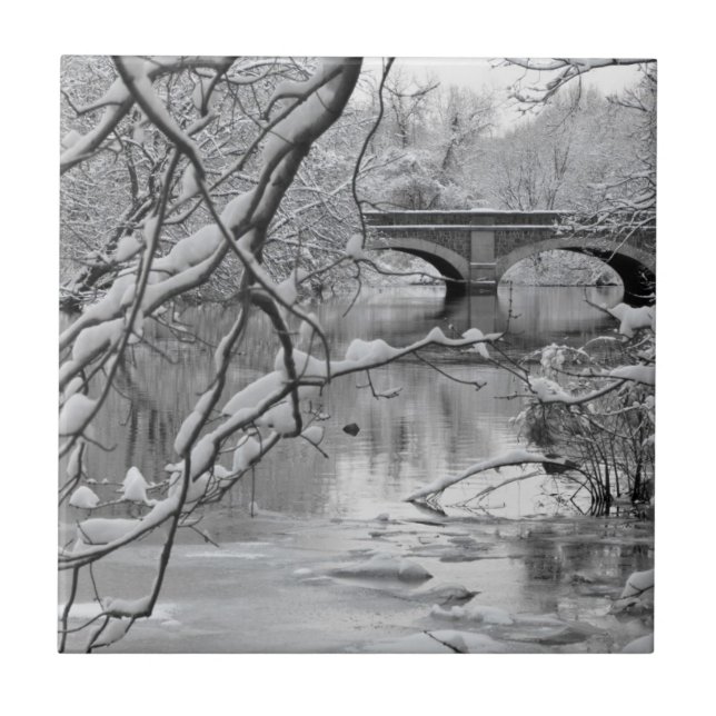 Arch Bridge over Frozen River in Winter Tile (Front)