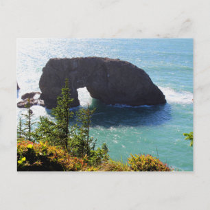 Arch Rock, Samuel H. Boardman State Park, Oregon Postcard