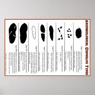 Archaeological Coprolite Types Poster