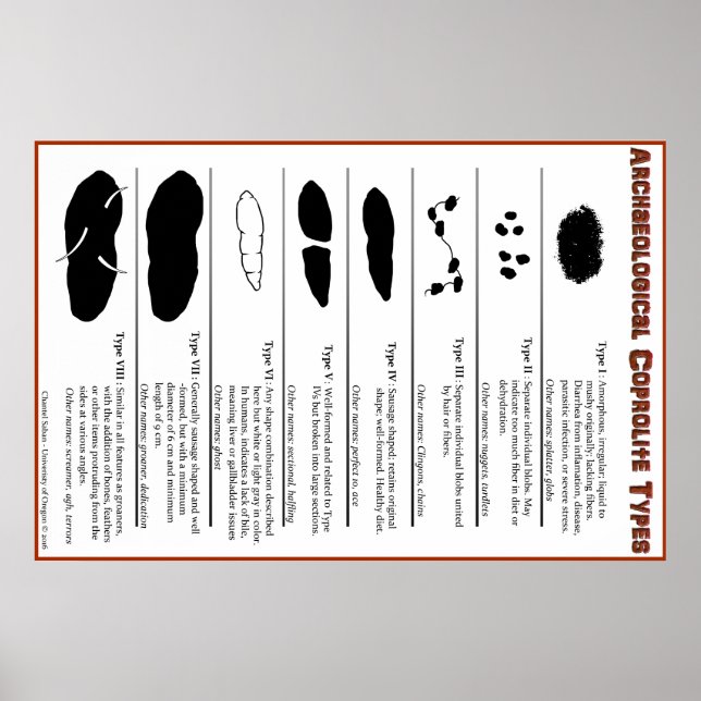 Archaeological Coprolite Types Poster (Front)