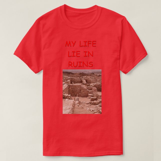 Archaeology joke 2 T-Shirt (Design Front)