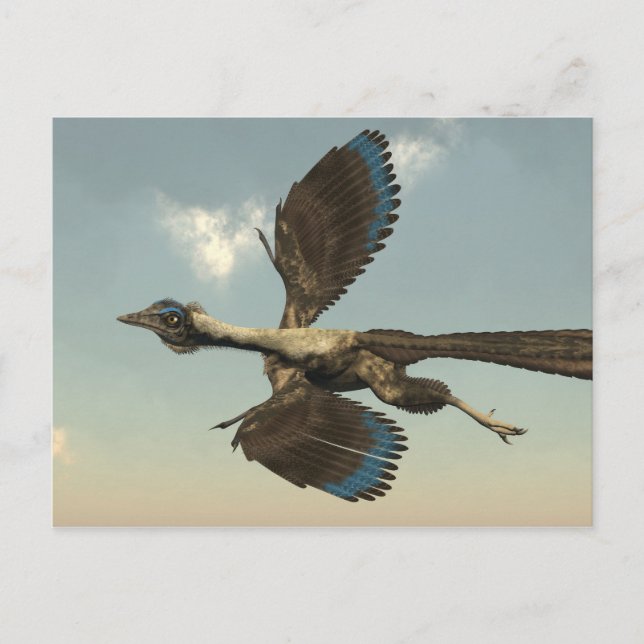 Archaeopteryx birds dinosaurs flying - 3D render Postcard (Front)