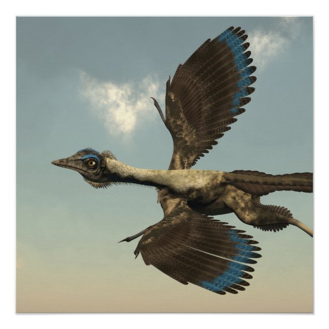 Archaeopteryx birds dinosaurs flying - 3D render Poster (Front)