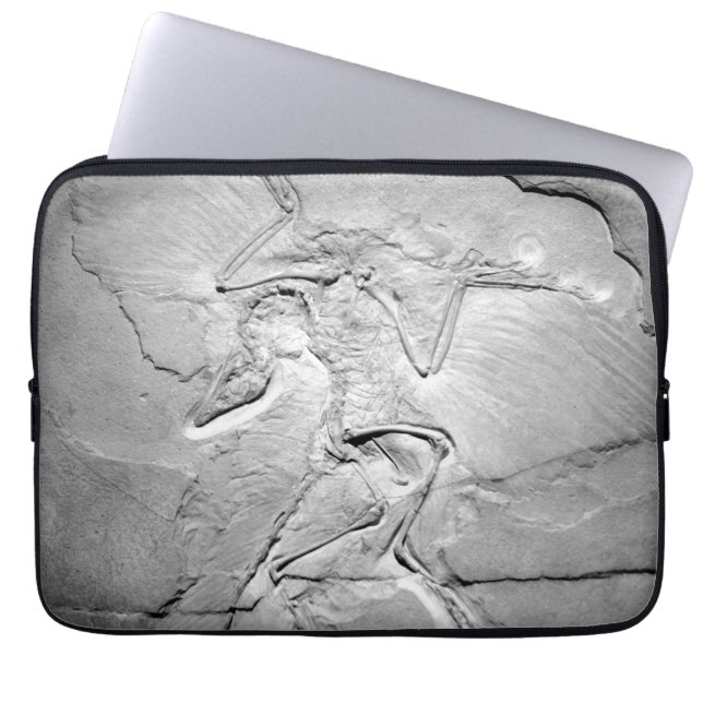 Archaeopteryx fossil Neoprene Laptop Sleeve 13" (Front)