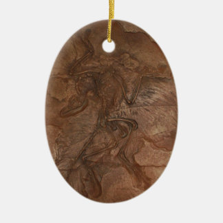 Archaeopteryx fossil - Ornament