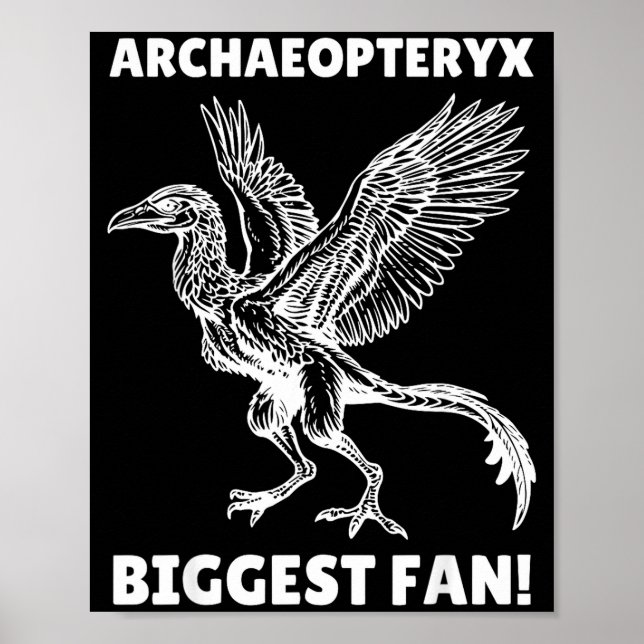 Archaeopteryx  poster (Front)