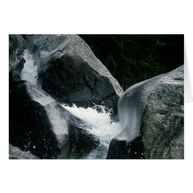 ARCHAIC TORSO OF APOLLO_a (Front Horizontal)