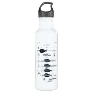 Archery Definition Arrow 710 Ml Water Bottle