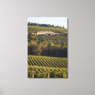 Archery Summit tan building sits atop hill Canvas Print