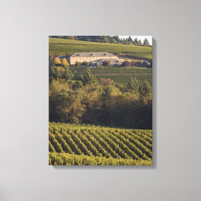 Archery Summit tan building sits atop hill Canvas Print (Front)