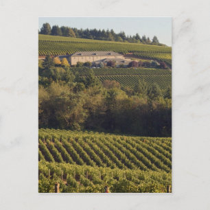 Archery Summit tan building sits atop hill Postcard