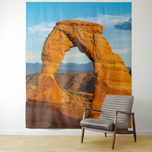Arches National Park MOAB Utah Tapestry