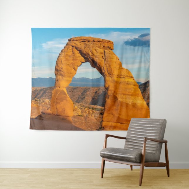 Arches National Park MOAB Utah Tapestry (In Situ (Horizontal))