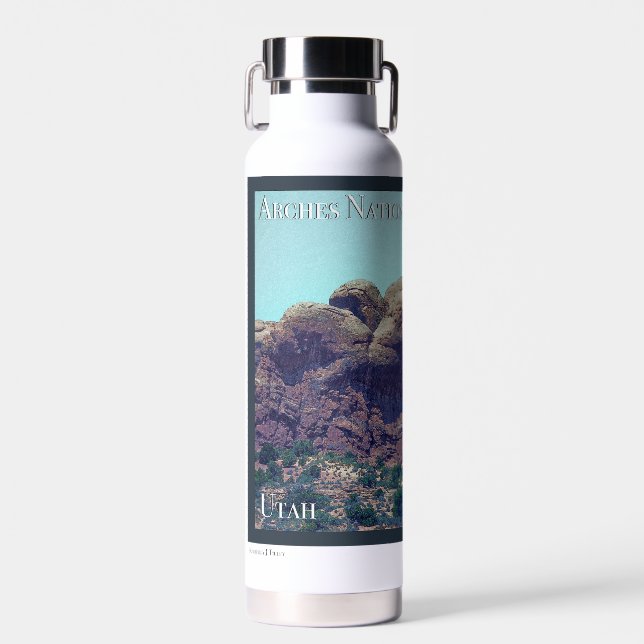 Arches National Park Poster Water Bottle (Front)