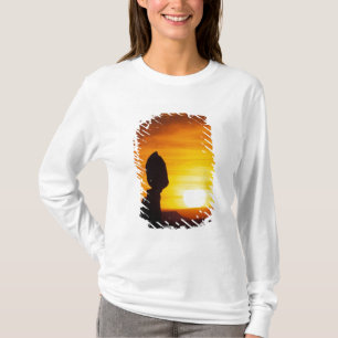 Arches National Park, UT Balance Rock at T-Shirt