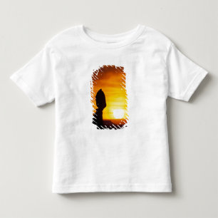 Arches National Park, UT Balance Rock at Toddler T-Shirt