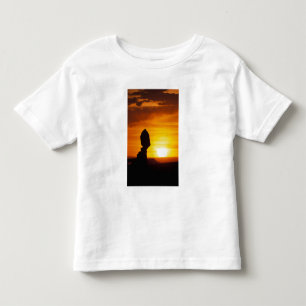 Arches National Park, UT Balance Rock at Toddler T-Shirt