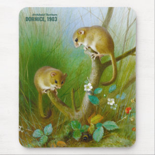 Archibald Thorburn Cute mice (Dormice 1903) CC0153 Mouse Mat