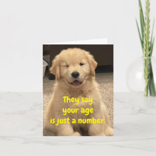 Archie's Adventures Birthday Card