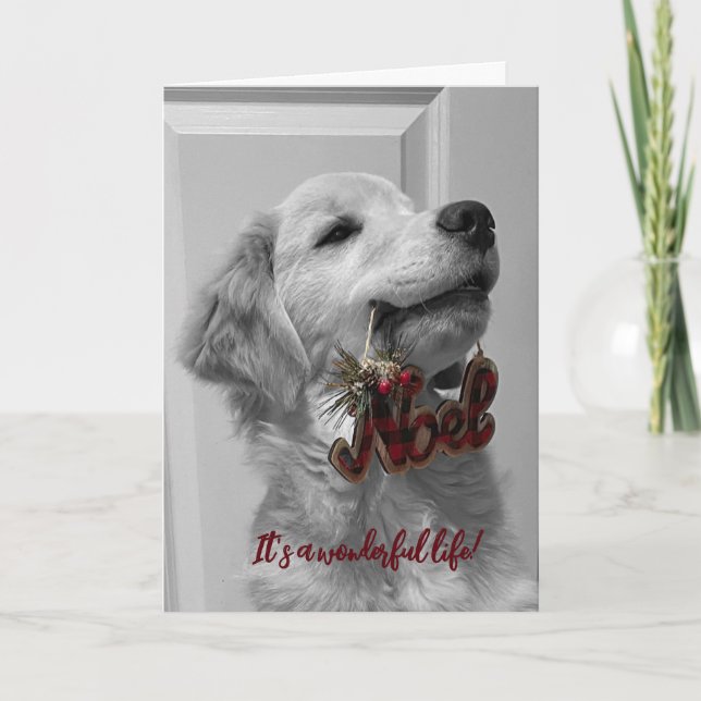 Archie's Adventures Blank Greeting Card 14 (Front)