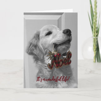 Archie's Adventures Blank Greeting Card 14